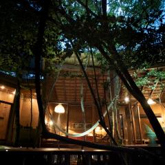 OJO DE ÁRBOL, boutique cabin in the real jungle