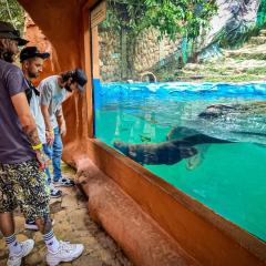 Hotel Boutique Refugio Llanero Centro Histórico