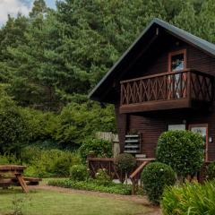 Viewpoint Cabin 7