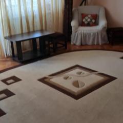 Apartament cu 2 camere spatioase in centrul orasului - ANDREI