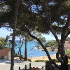 Studio Le miroir de la mer