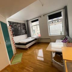 Lille Bryggen Studio 20m²