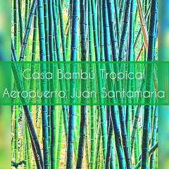 Casa Bambú Tropical