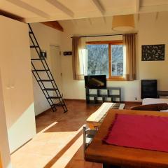 Monoambiente super luminoso y acogedor