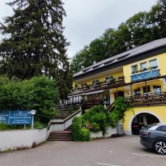 Austria Traveller Hotel Lenzing
