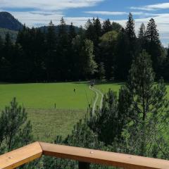 Karavanke mountain hut