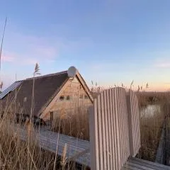 Seehütte Neusiedlersee - Pfahlbau Waterfront 1