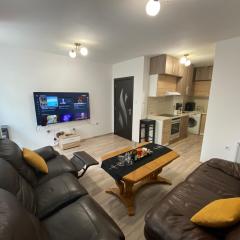 Modern 1BR Apart with Cinema Couch 65 inch TV & Free Street parking