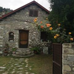 Dorotheas Stone house in the forest