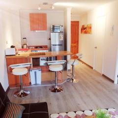 Pucón, Acogedor departamento, cómodo e iluminado