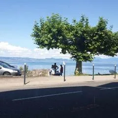 Superbe f1 en bord du lac