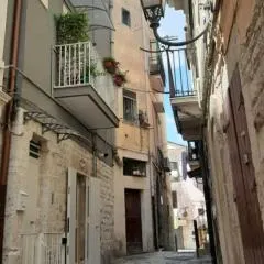 Maga12