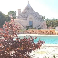 Il nido delle rondini