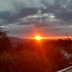 Ferienwohnung Bodenseeblick