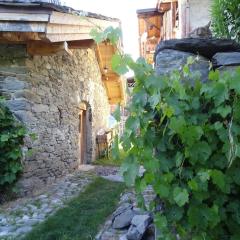 Bourg Saint Maurice Les Arcs - maisonnette grand confort dans charmant village de montagne !