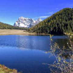 Appartamento Vanoi nel cuore verde del Trentino