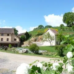 Moulin rénové avec piscine partagée et animaux acceptés - FR-1-489-255