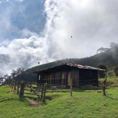 BIRDGLAMPING LOS ÁRBOLES-Estación Biológica LA GUAYANA