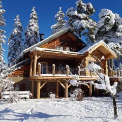 Magnifique chalet en rondins avec sauna - Vercors
