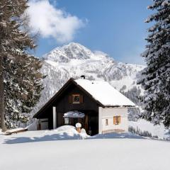 Gemütliche Skihütte an der Piste Ski-in & Ski-out