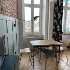 W historycznym sercu Wrocławia