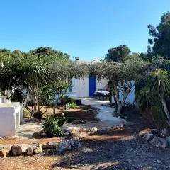 Villa Debora Favignana (TP)