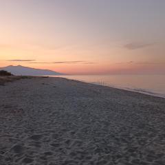 Maison à 200m de la mer, 10 mn de l'aéroport de Bastia et a 20mn du port