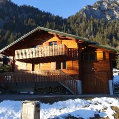 Spacious comfortable chalet close to the ski lifts for 8 persons