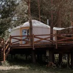 Jurty z widokiem, prywatna balia- DZIKOLAS GLAMPING