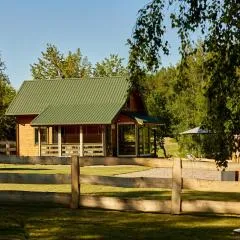 Apartamenty Białe Brzozy