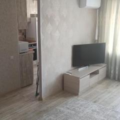 Ауэзова 49б, 2х комнатная