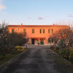 Eco House San Michele