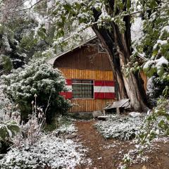 Cabaña de montaña estilo alpino con acceso a Río