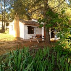 Casitas La Purísima Macho