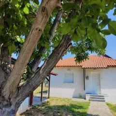 White Clam Vintage House with sea view & garden
