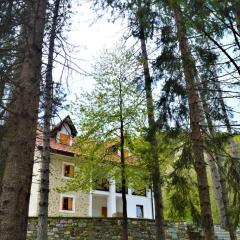 Mountain house Korab Trnica