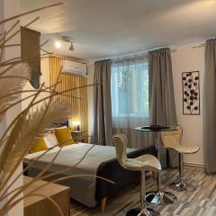 Urseni Studio Apartment