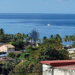 Evasion Nord Caraïbe vue mer -plage 5 mn à pieds