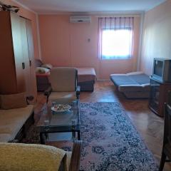 Apartman Djenovici