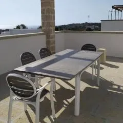 Mavi e Sari Ev