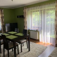 Apartament u Zosi