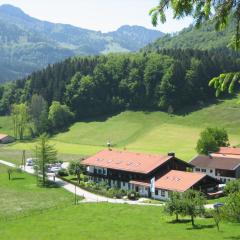 Gschwendtnerhof App14 Ludes-Ennen