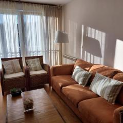 APARTAMENTO VIRAVENTO