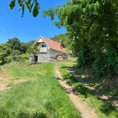 Vine Cottage