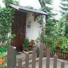 Ferienwohnung Grenzblick