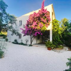 Olive Garden Apartments