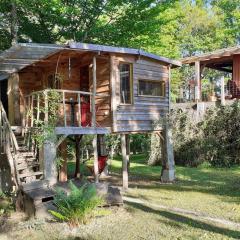 La cabane de l'oiseau