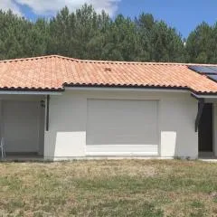 chambre au pied de la forêt