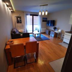 Apartament Kraków Arena 20B