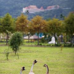 Meihua Lake Leisure Farm